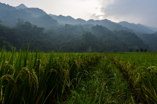 11-Day Northeast Vietnam Adventure Tour - photo 4