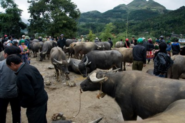11-Day Northeast Vietnam Adventure Tour - photo 20