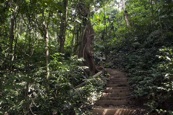 Cuc Phuong National Park Tour 1 Days - photo 3