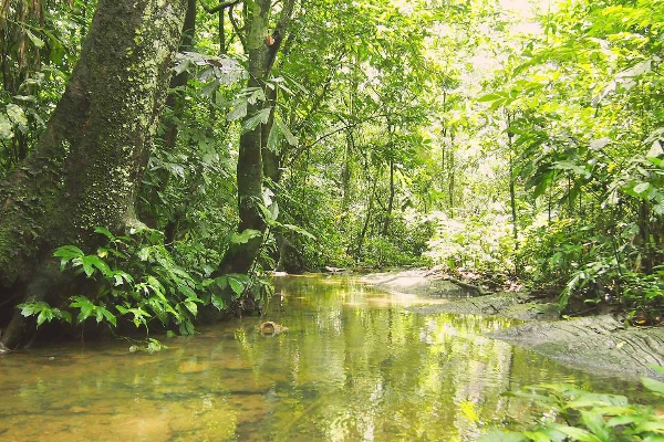 Cuc Phuong National Park Tour 1 Days - photo 2
