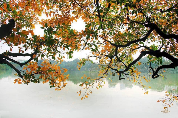 Legend of Vietnam and Laos Tour 14 Days - photo 11