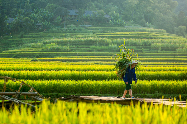Legend of Vietnam and Laos Tour 14 Days - photo 37