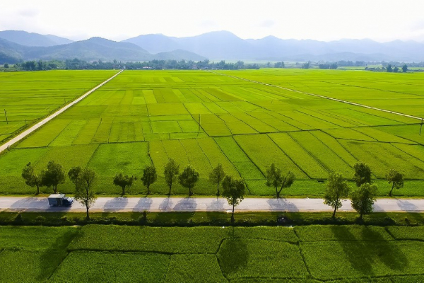 Legend of Vietnam and Laos Tour 14 Days - photo 38