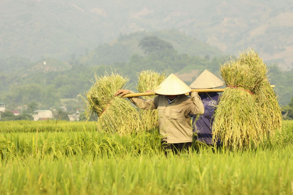 Legend of Vietnam and Laos Tour 14 Days - photo 39