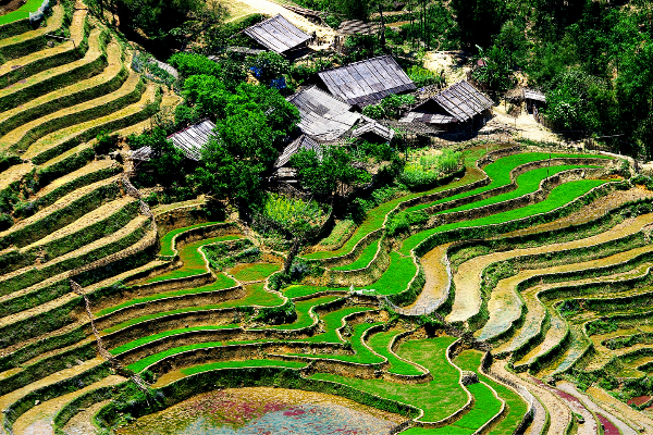 Legend of Vietnam and Laos Tour 14 Days - photo 29