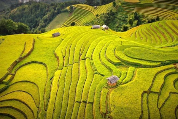 Mu Cang Chai Tour 3 Days - photo 1