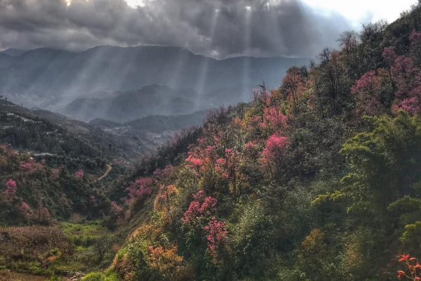Mu Cang Chai Tour 3 Days - photo 7