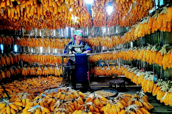 Mu Cang Chai Tour 3 Days - photo 15