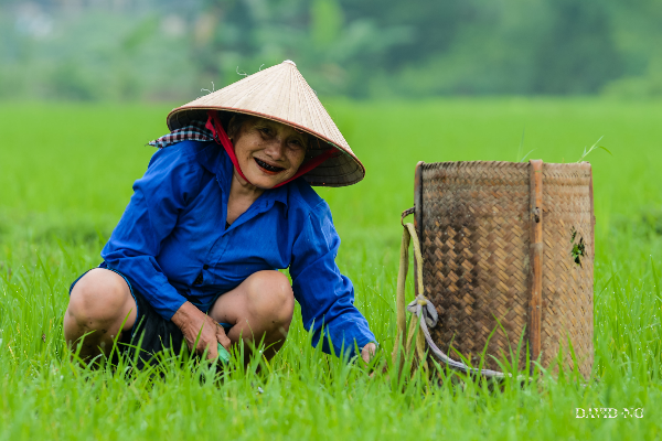 Northern Vietnam & Laos Adventure - 14 Days - photo 12