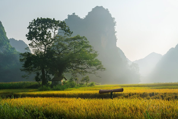 5D4N Lang Son – Ban Gioc – Bac Son Tour - photo 9