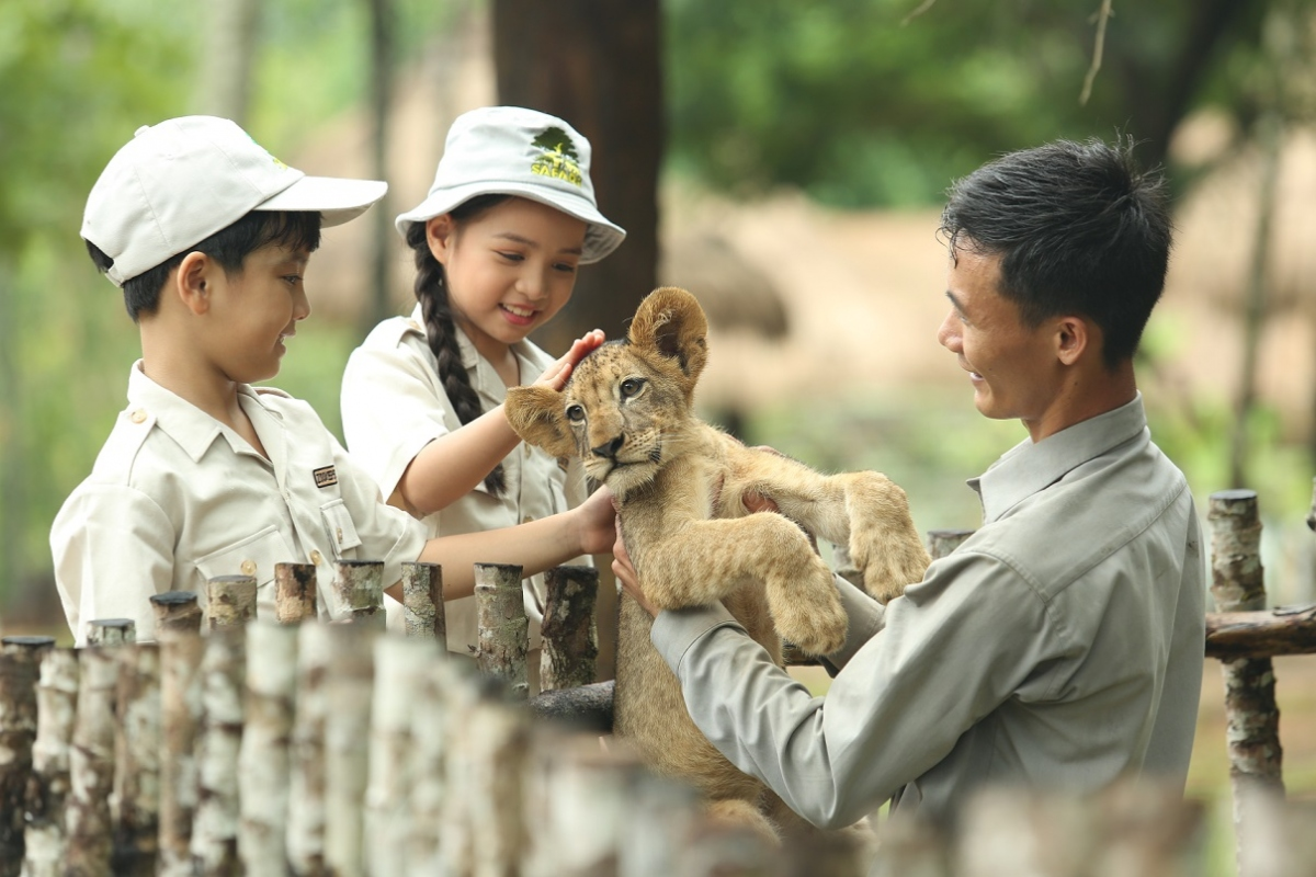Visitors at Vinpearl Safari observing wild animals