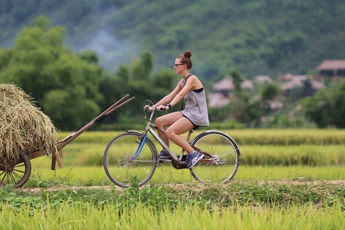 Visitors cycling along a path in Mai Chau surrounded by rice paddies