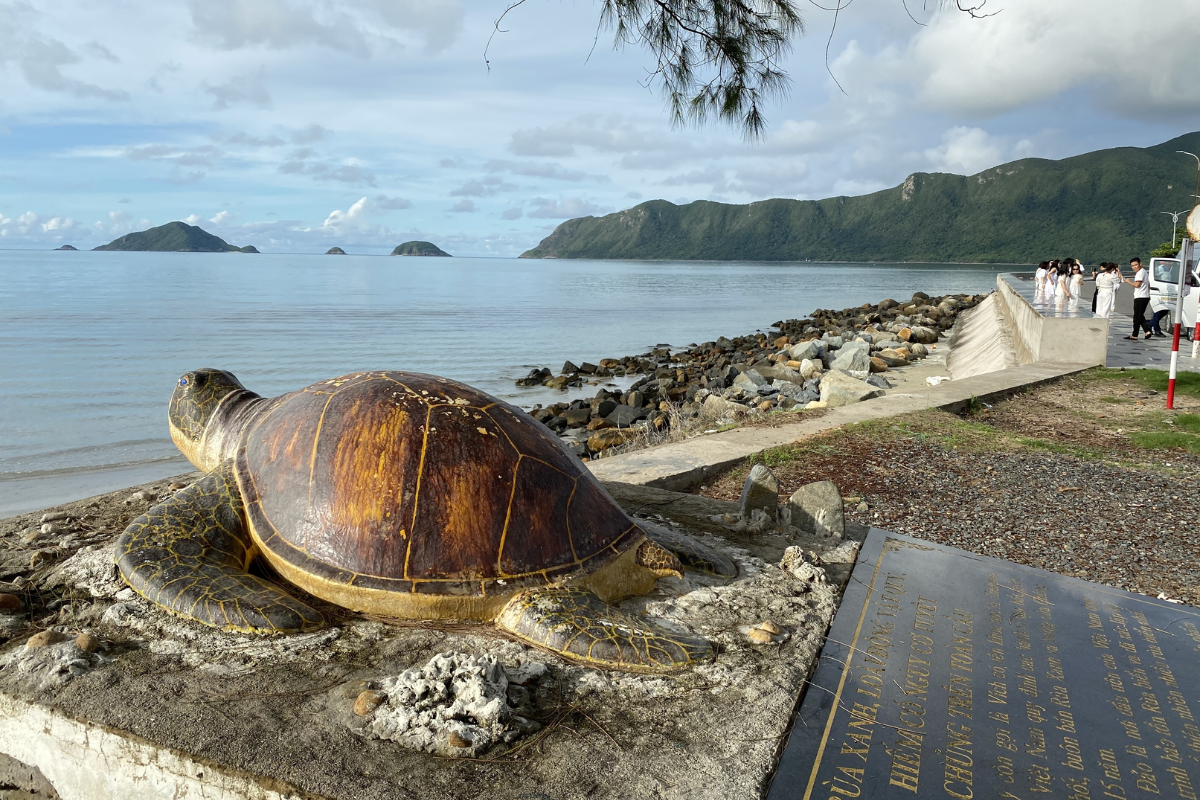 Sea Turtle Nesting on Con Dao