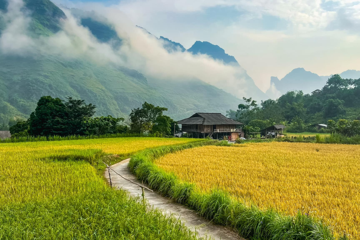Scenic mountain road leading to Yen Minh Market